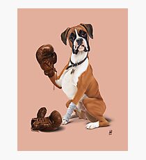 The Boxer (colour) Photographic Print