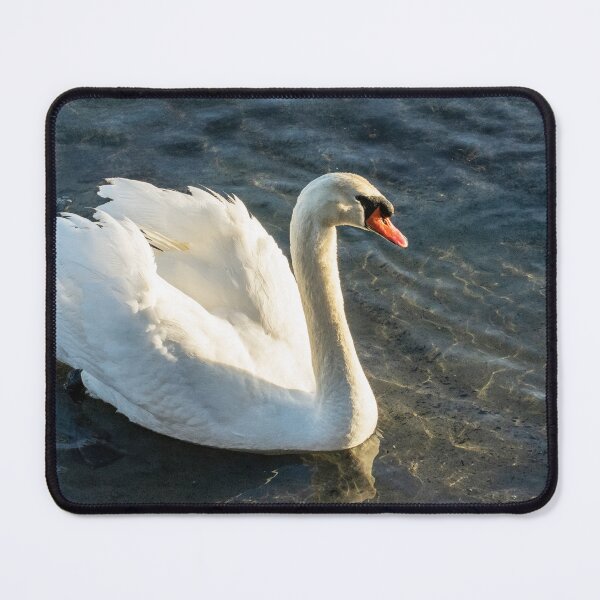 Item preview, Shadows of Swan in Ocean Waters designed and sold by Ruth Curtis.