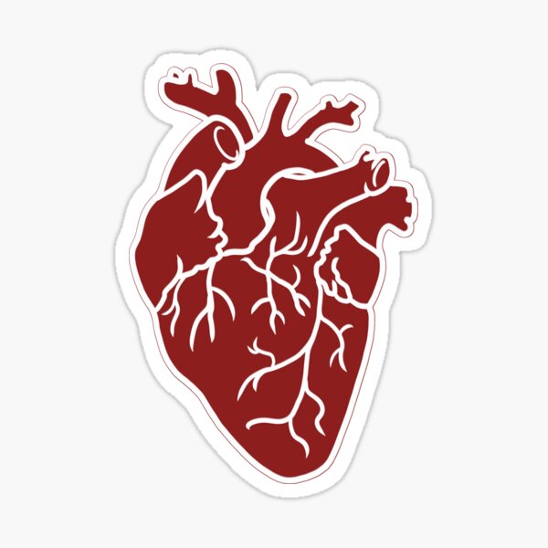 Noble Blood  Anatomy Valentine's Day Card – DFTBA