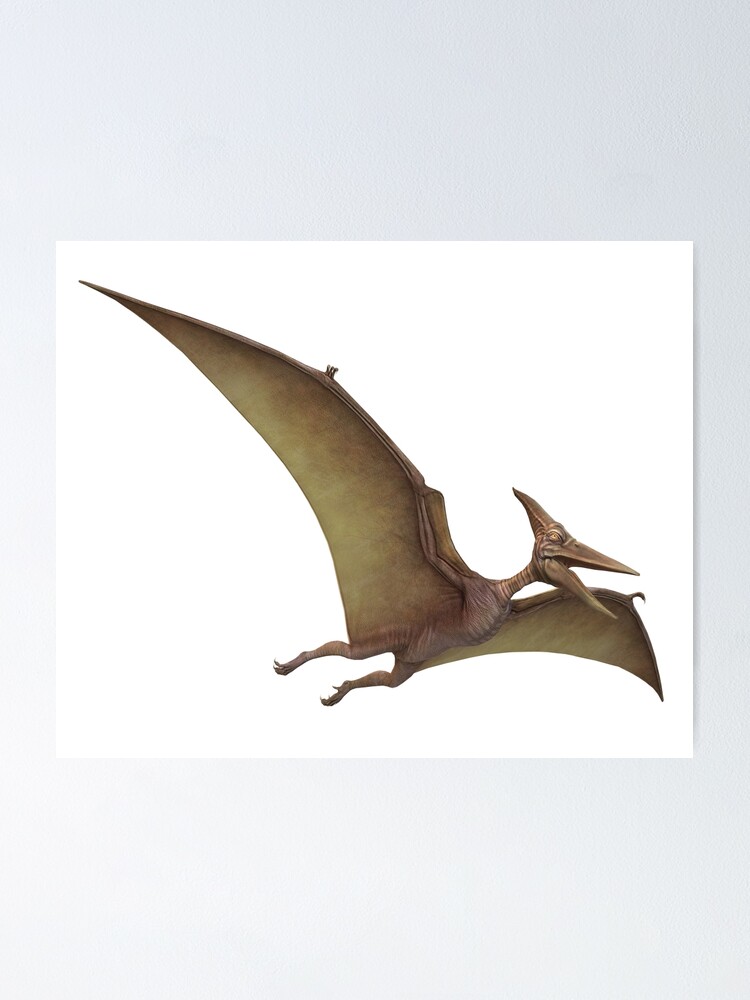 Pterodactyl Poster