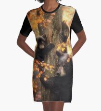 Black Bears Graphic T-Shirt Dress