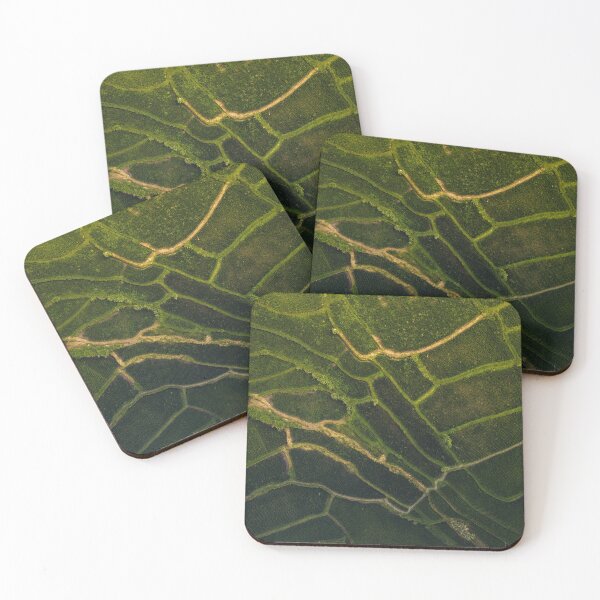 Item preview, Soothing patches of rice fields designed and sold by KAY Artists.