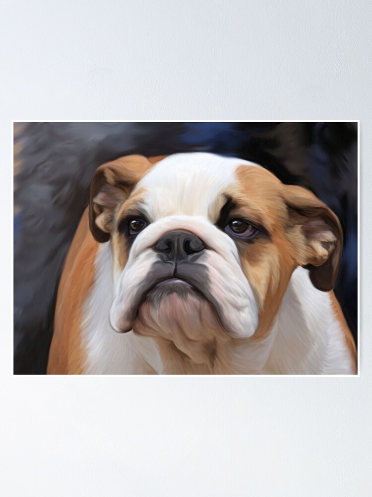pedigree bulldog puppies