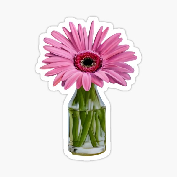 Gerbera Daisy Stickers