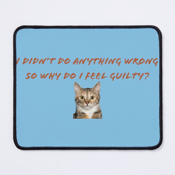Item preview, I DIDN'T DO ANYTHING WRONG SO WHY DO I FEEL GUILTY? designed and sold by TechLaughs.
