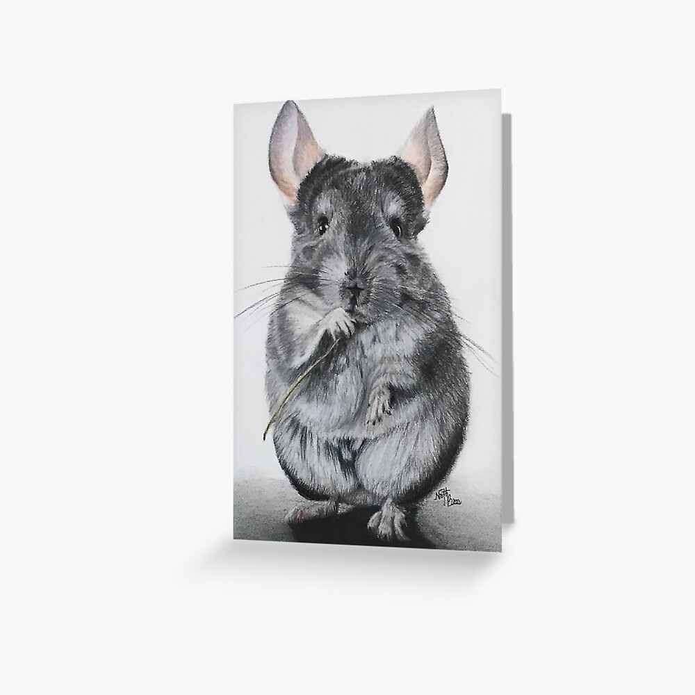 Mono Line Drawing Of An Endangered Wildlife Cartoon Featuring Either A  Chinchilla Or, Hand Drawing, Isolated, Chinchilla PNG Transparent Image and  Clipart for Free Download