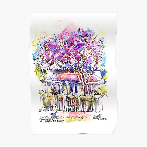 Jacarandas in October Poster