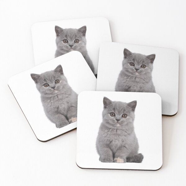 Item preview, Cute Grey Kitten designed and sold by Unindiv.