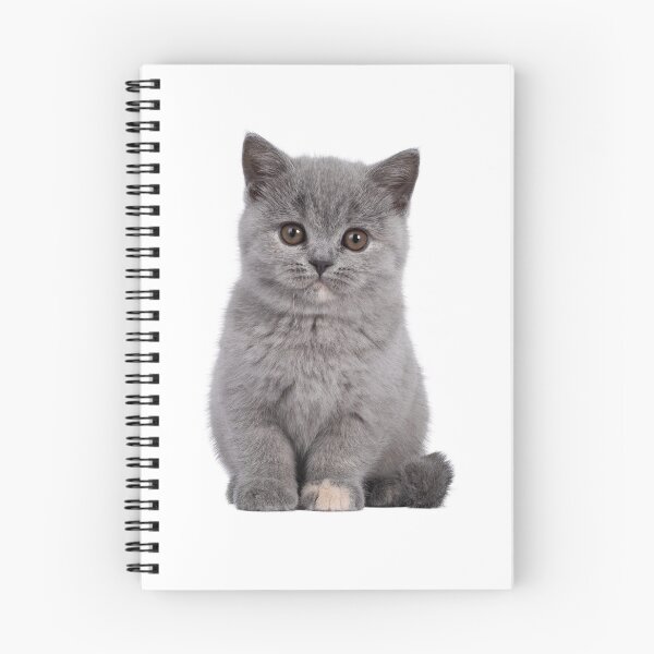 Item preview, Cute Grey Kitten designed and sold by Unindiv.