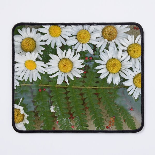 Item preview, Daisies in the garden designed and sold by Claude Laprise.