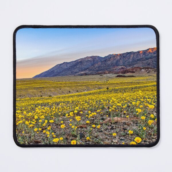 Item preview, SUPERBLOOM designed and sold by Charles Dobbs Photography.