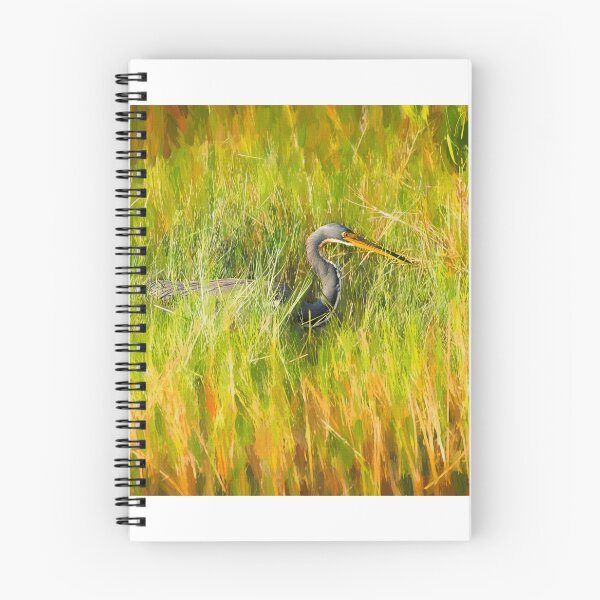 Item preview, Tricolored Heron Focused X100 designed and sold by RichFrancoCars.