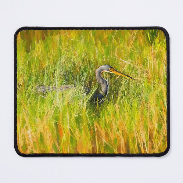Item preview, Tricolored Heron Focused X100 designed and sold by RichFrancoCars.