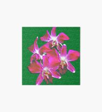 Artistic Orchid Art Board