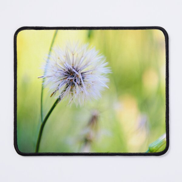 Item preview, Dandelion Wishes designed and sold by Charles Dobbs Photography.