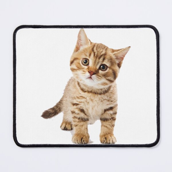 Item preview, cut cat designed and sold by the lux habit.