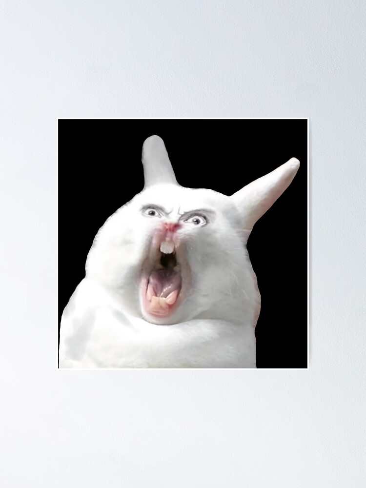 "Silly Angry Bunny Screaming Rabbit Face Funny Meme" Poster for Sale by