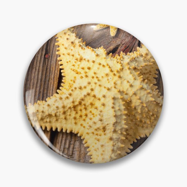 Item preview, Large Starfish designed and sold by Garry Gay.