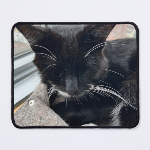 Item preview, Stu in the prow designed and sold by TuxedoLovers.
