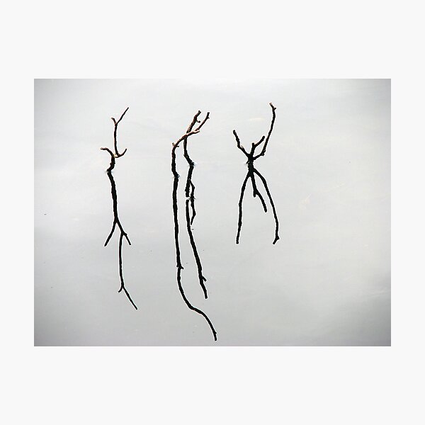 Double Take Photographic Print