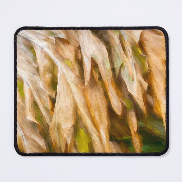 Item preview, Winter Damage Split Philodendron Leaf X103 designed and sold by RichFrancoCars.
