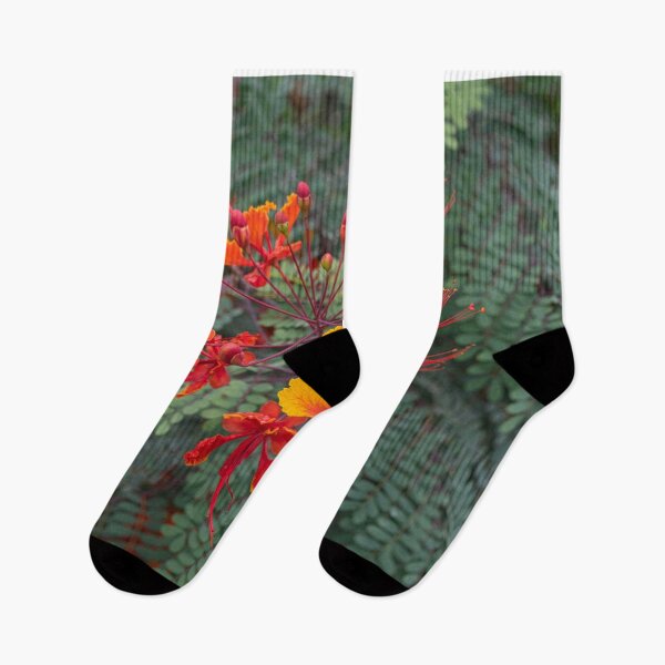 Item preview, Ferns and Flowers designed and sold by Diego Re.
