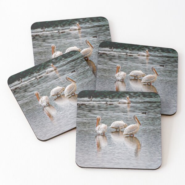 Item preview, Early Morning Pelicans designed and sold by Debra Martz.