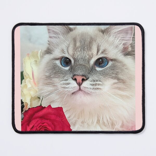 Item preview, Lynx ragdoll cat romance designed and sold by Fluffycat2020.