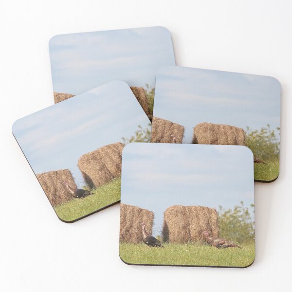 Item preview, Jakes or Better, Trips to Win. designed and sold by RedHandedOD.