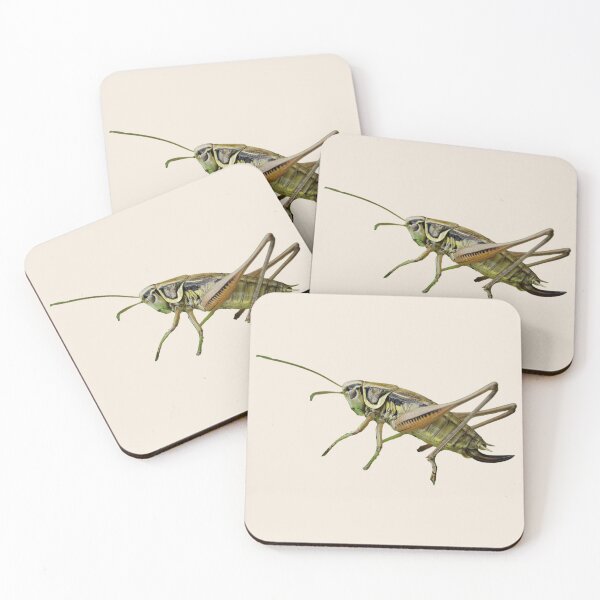 Item preview, Incredible Cricket designed and sold by RainbowSpinkle.
