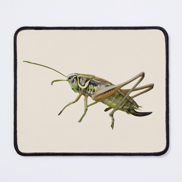Item preview, Incredible Cricket designed and sold by RainbowSpinkle.