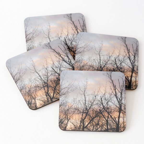 Item preview, Red-tailed hawk at sunset designed and sold by PowerfulPhotos.