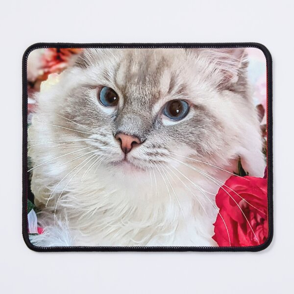 Item preview, Lynx ragdoll cat romance designed and sold by Fluffycat2020.