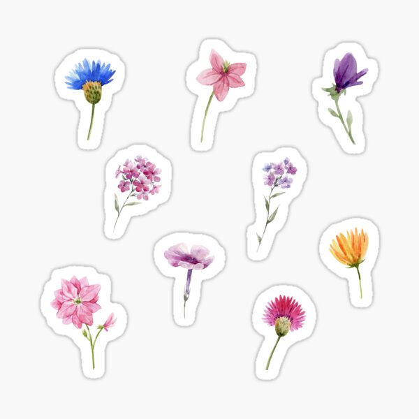 Watercolor Blue Toned with Orange Highlight Floral Stems  Sticker