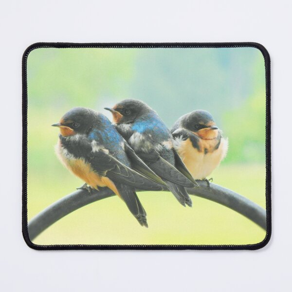 Item preview, Swallows-9 designed and sold by MaryLinH.