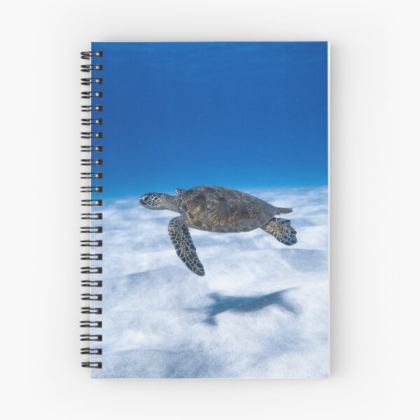 Artikelvorschau, Große Wasserschildkröte schwimmt im blauen Meer entworfen und verkauft von kudiny.