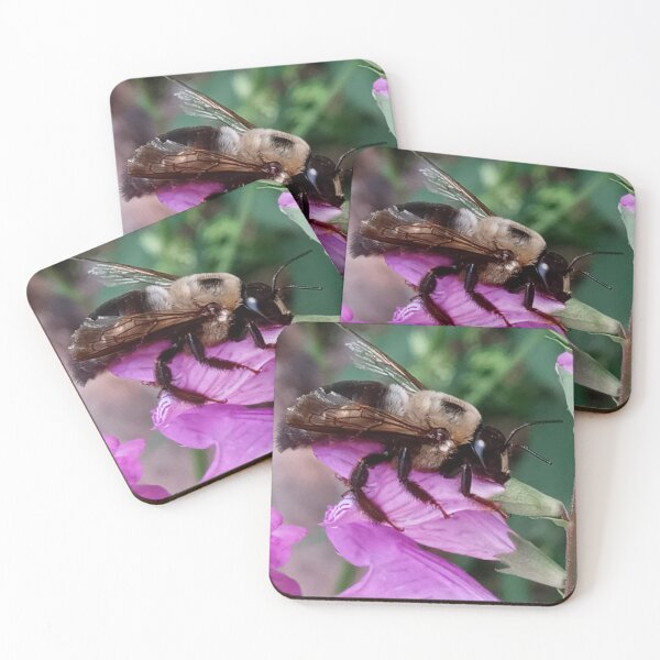 Item preview, Bumble Bee on false dragonhead flower designed and sold by Bmusicjr.