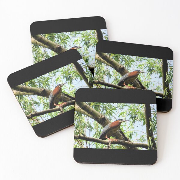Item preview, Green Heron-2 designed and sold by MaryLinH.