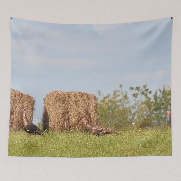 Item preview, Jakes or Better, Trips to Win. designed and sold by RedHandedOD.