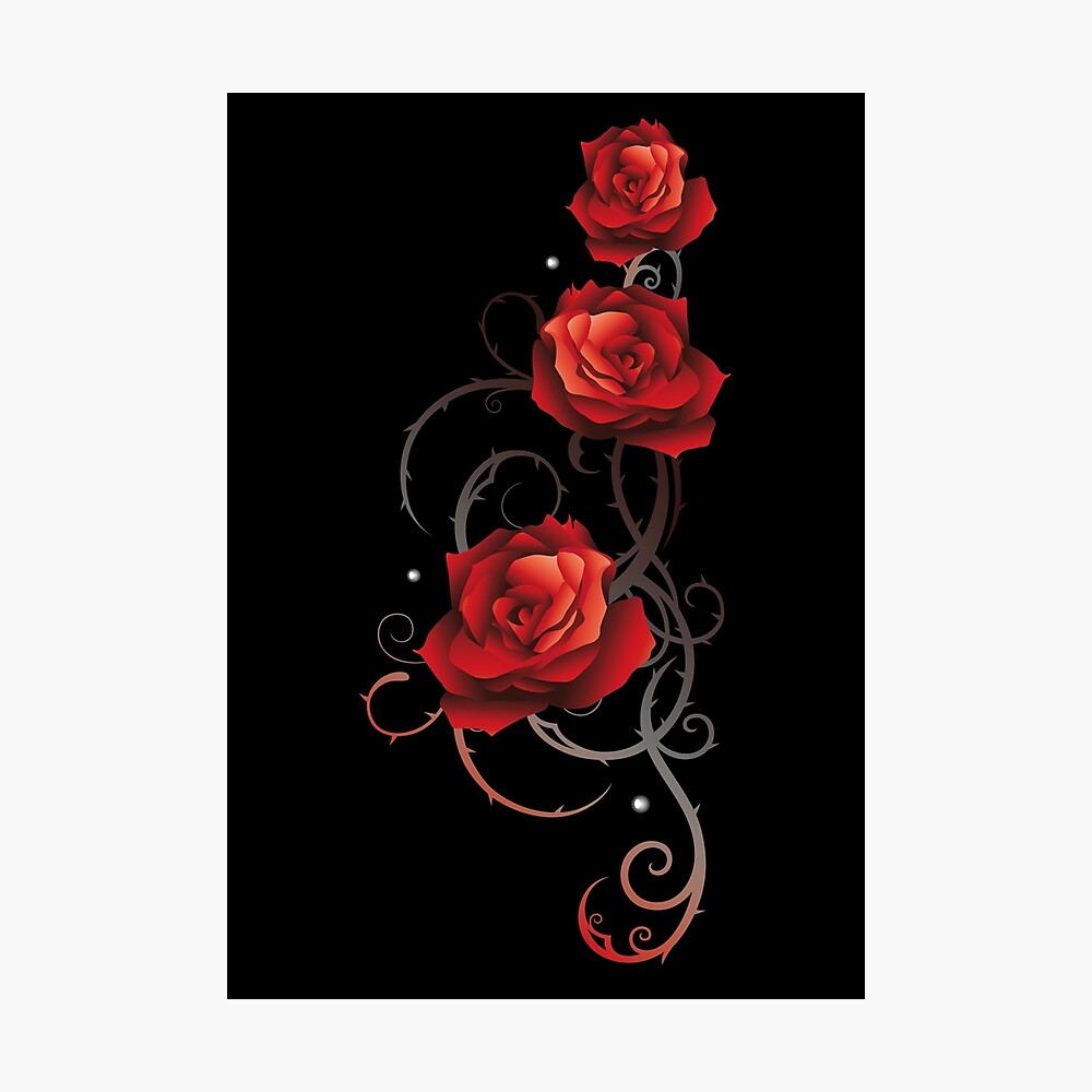 Beautiful Red Roses Thorns And Leaves In Love Poster By Christinekrahl Redbubble