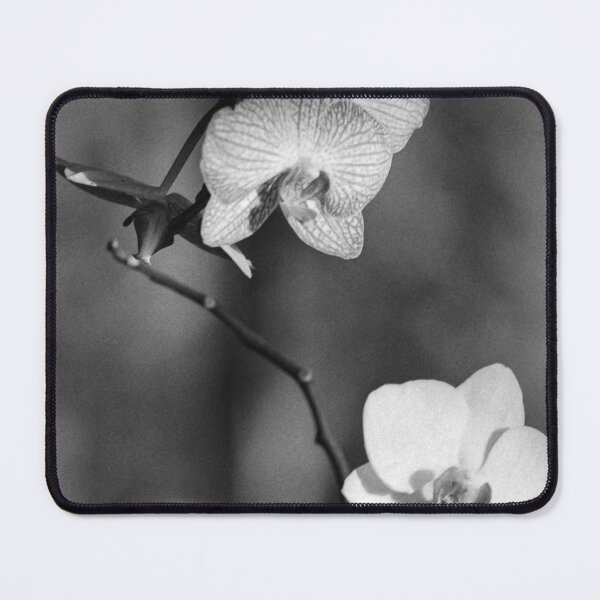 Item preview, orchids designed and sold by Abel-momo.