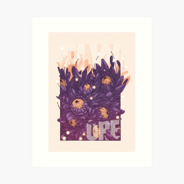 Protea Kunstdruck
