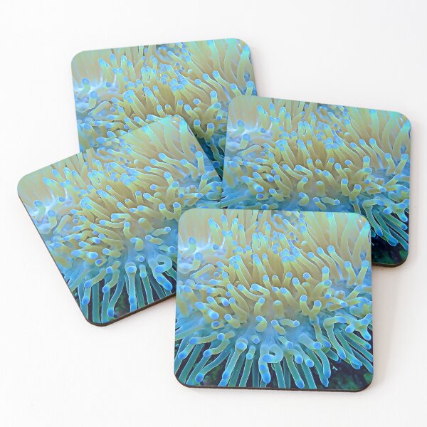 Item preview, Keep Your Anemones Close designed and sold by OceanVentures.