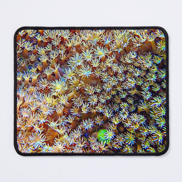 Item preview, Soft Coral Polyps designed and sold by OceanVentures.