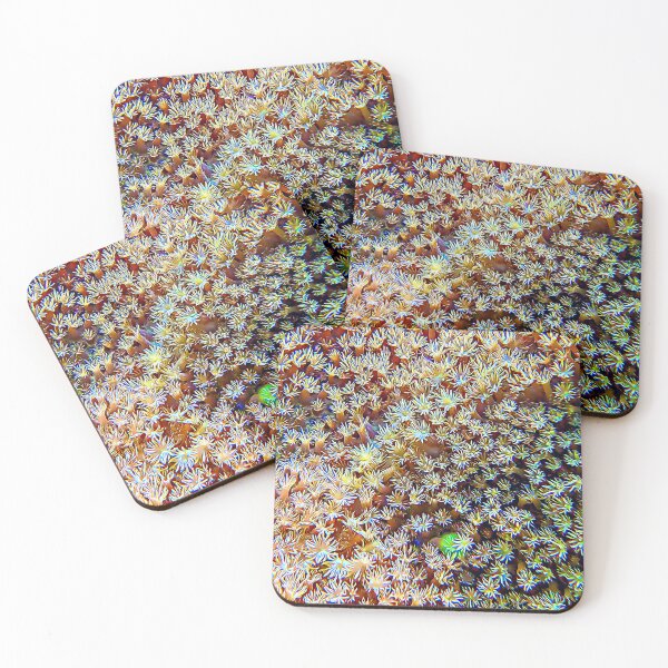 Item preview, Soft Coral Polyps designed and sold by OceanVentures.