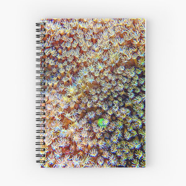 Item preview, Soft Coral Polyps designed and sold by OceanVentures.