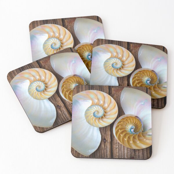 Item preview, Two Chambered Nautilus designed and sold by Garry Gay.
