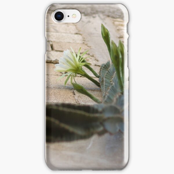 Princess of the Night - Blooming against Urban Wall iPhone Snap Case