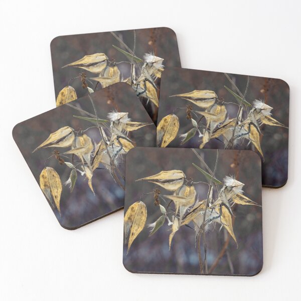 Item preview, Milkweed pods ready to seed. designed and sold by lghtwrkr.