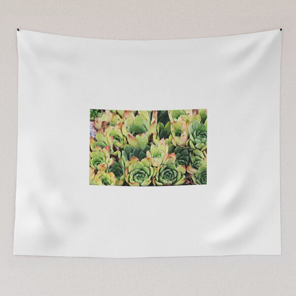 Item preview, Succulent designed and sold by Sassygirl81.